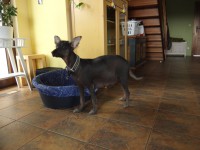 /album/uz-se-to-blizi-/dscf1239-jpg1/