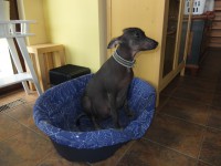 /album/uz-se-to-blizi-/dscf1240-jpg1/