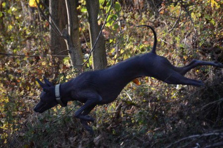 Arturo jumps