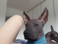 /album/emilien-pupy/a20160325-083511-jpg/