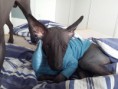/album/emilien-pupy/a20160325-083637-jpg/